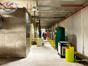 Ion Fresh Air + system dezodoryzacji chemicznego szorowania