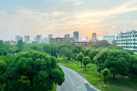 微信图片_20260302104047_1037_393.jpg